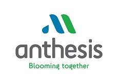Anthesis Logo