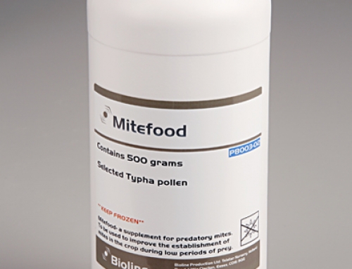 MITEFOOD THE SPECIALIZED PRODUCT FOR AMBLYSEIUS MONTDORENSIS