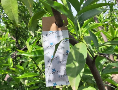 Anthesis promotes an 180o turn on Greek Citrus pest management with beneficial Macros